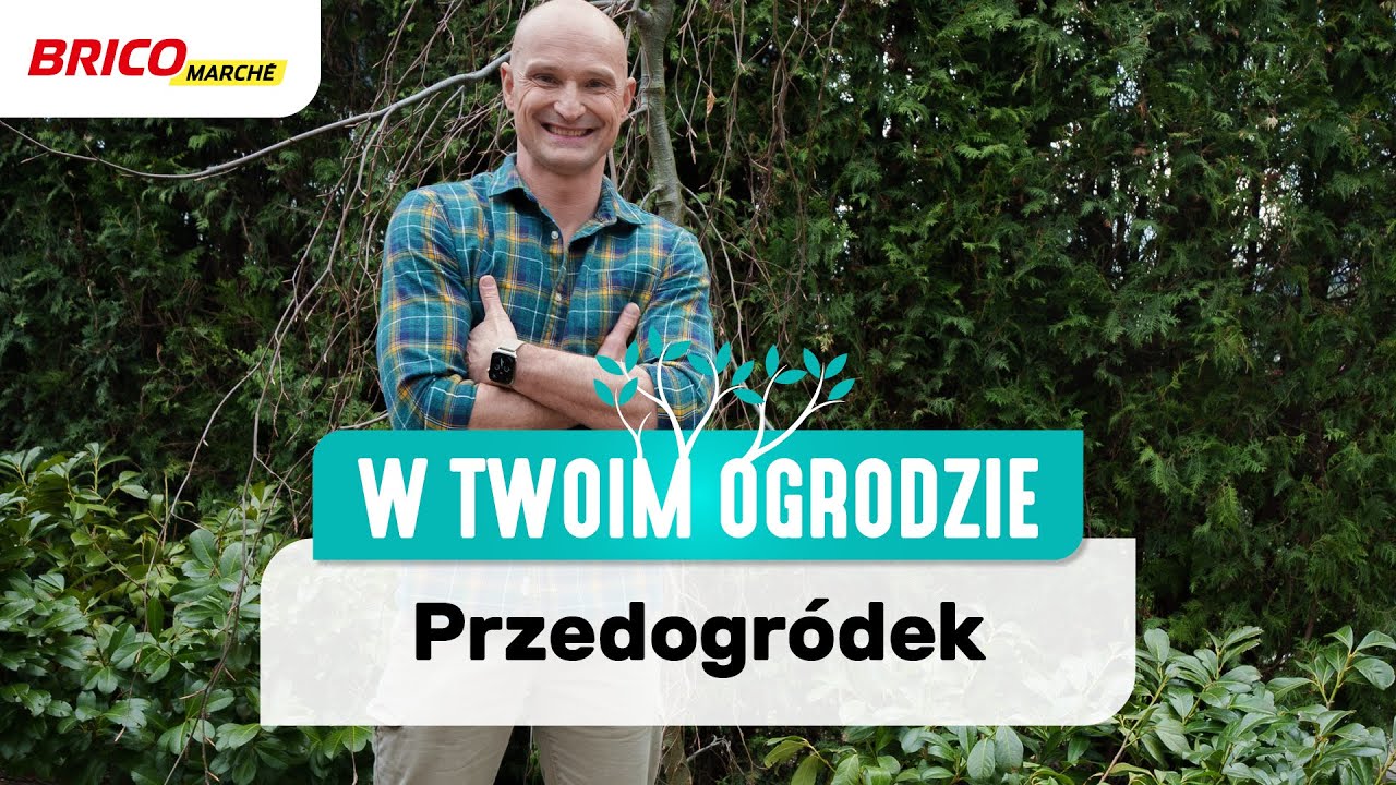 Przedogródek – jak zagospodarować miejsce przed domem [W Twoim ogrodzie]