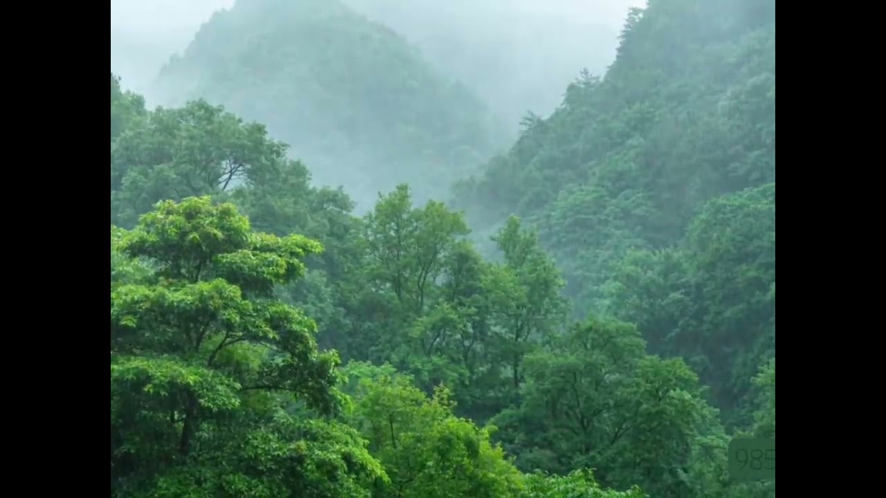 Soothing Thunderstorm for Sleep