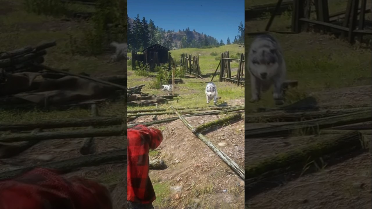 RDR2 Survival Skills Ep.1163 | Realistic WildWest Simulation #Shorts