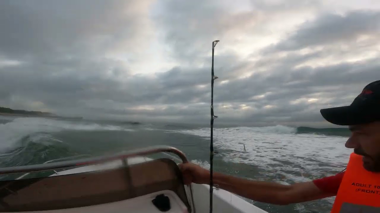 Seacat 510 CC