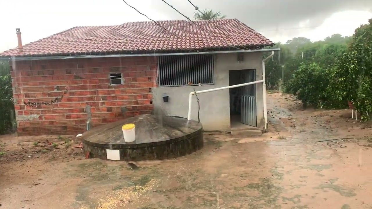 CHUVA MUITO BOA AQUI NA NOSSA REGIÃO!