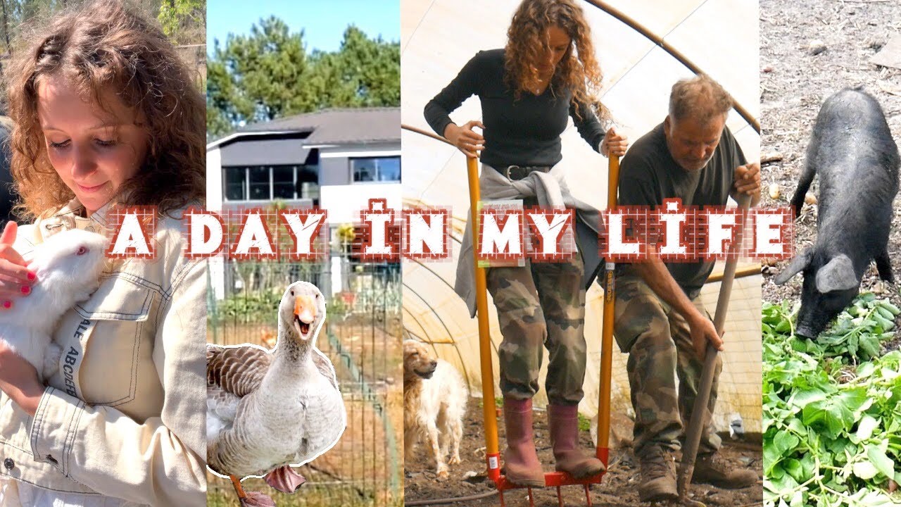Confinée à la ferme ! ( routine & daily vlog )