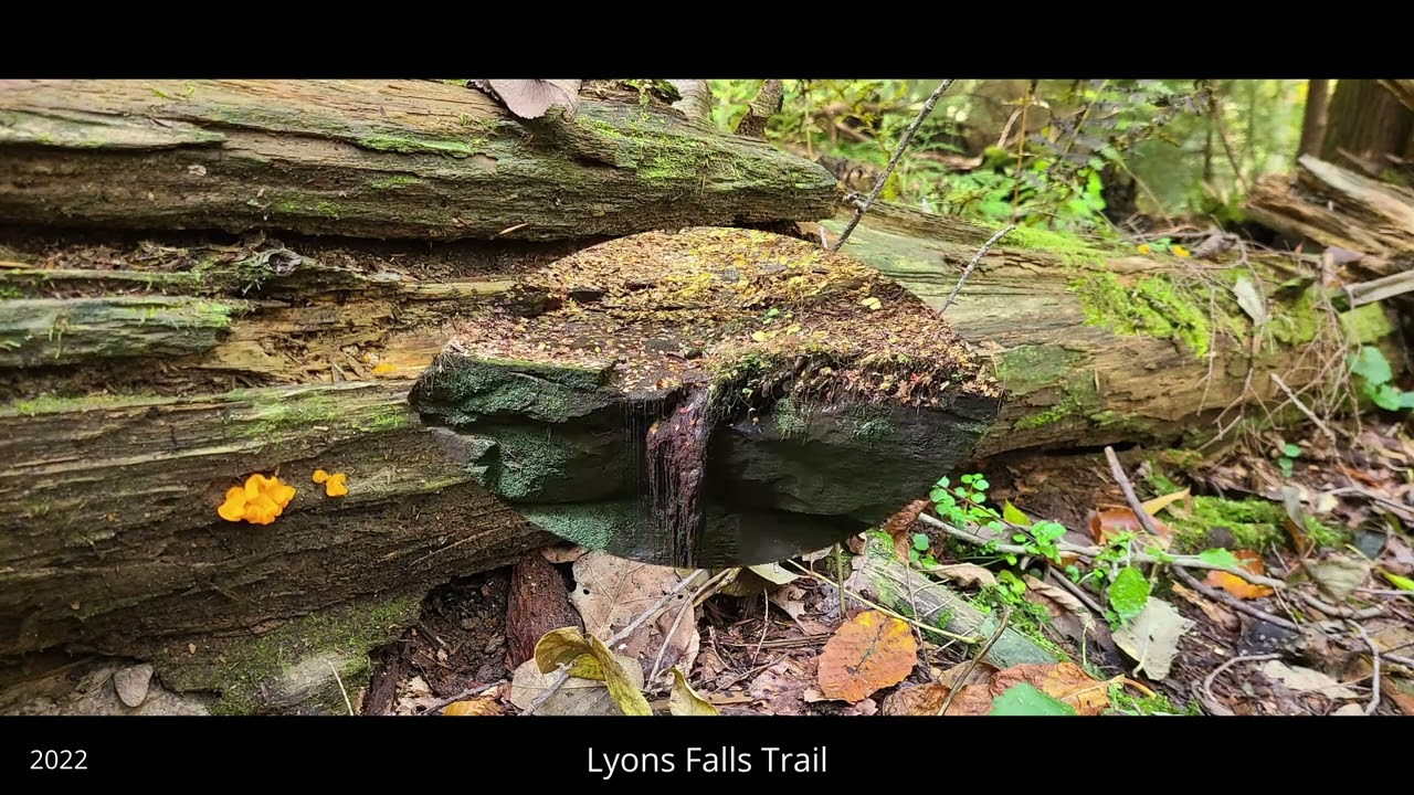 Mohican State Park Loudonville OH