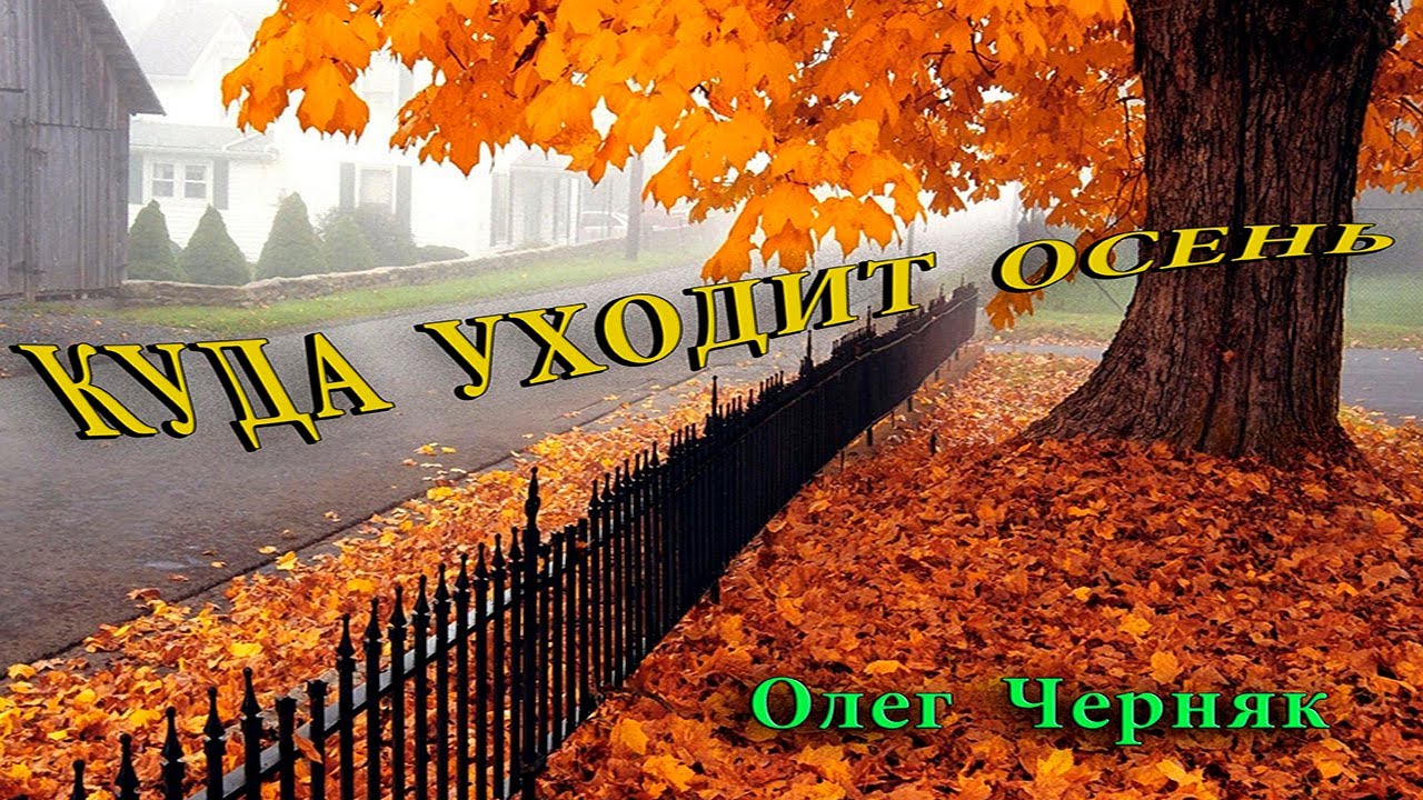 Куда уходит осень