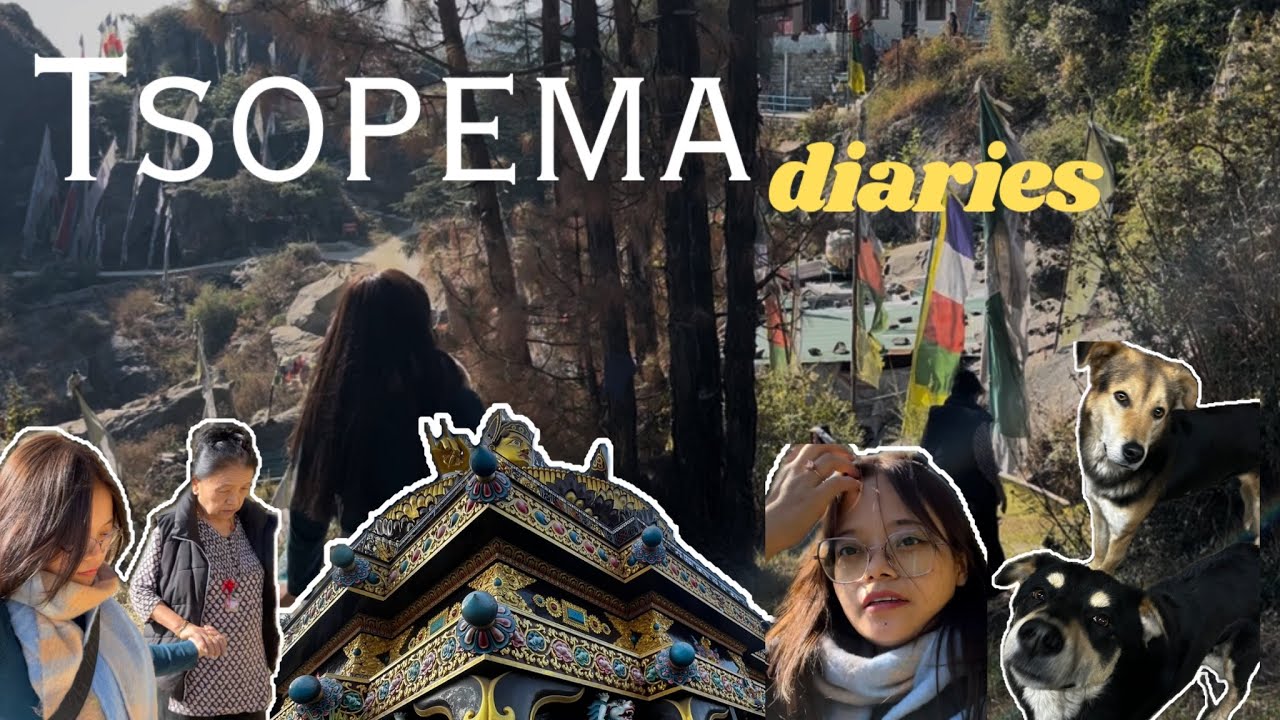 First day in Tsopema | Rewalsar | Blessed | #vlog #mandi #tibetan #blessed #btsarmy 🫶💜 #armyvlog 💜