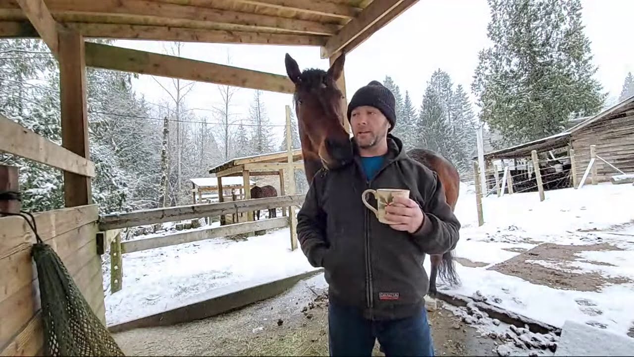 Coffee With A Horse - The Value Of Quiet Time - Livestream