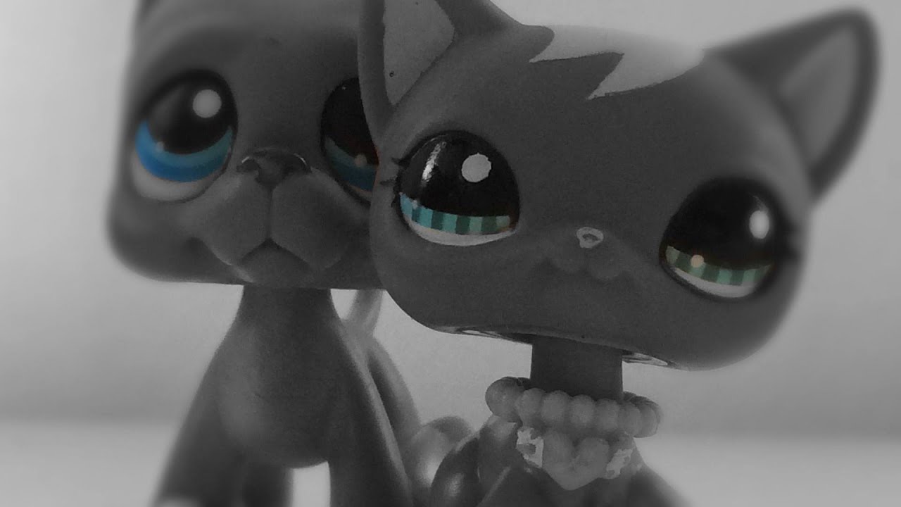 LPS ~ Sad Song - MV