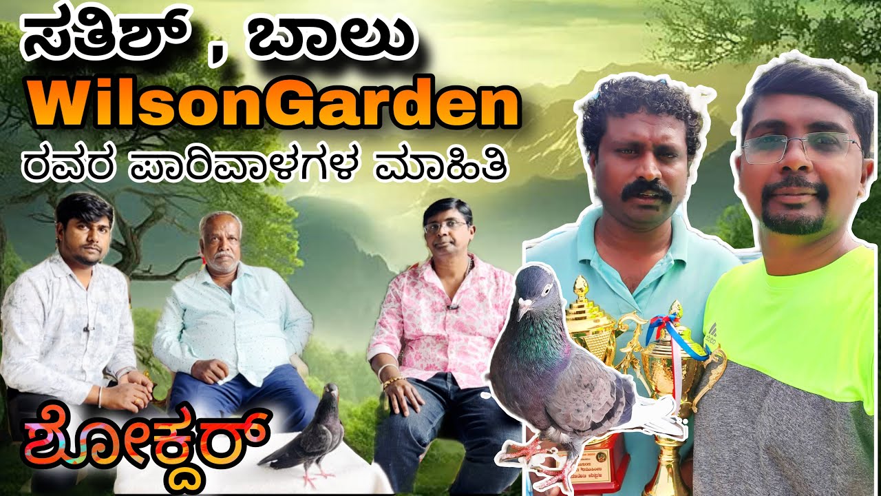 Wilson Garden Sathish Balu  Shokdhar  | ರಿಯಲ್ ಲೈಫ್ ಶೋಕ್ದರ್ | PART 1