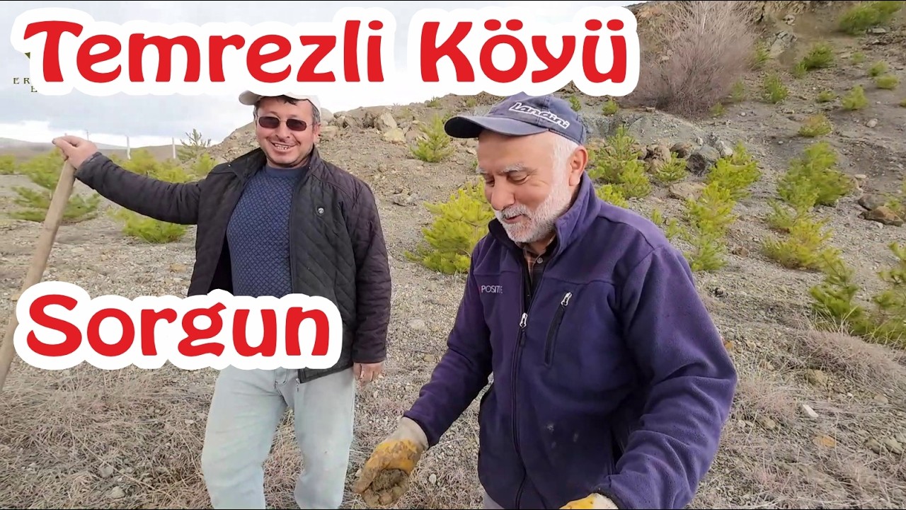 TEMREZLİ KÖYÜ SORGUN