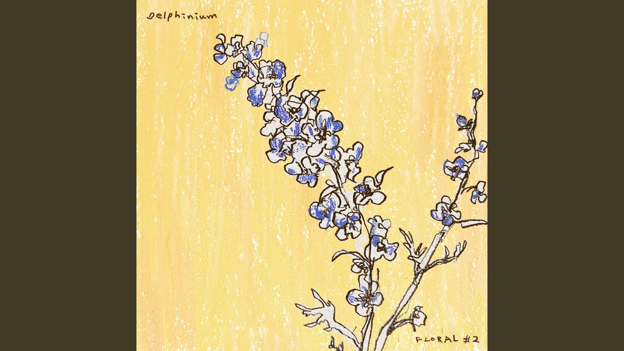 Delphinium