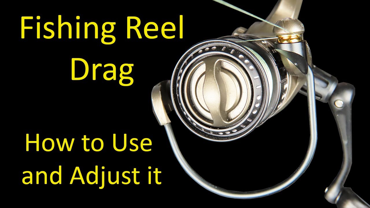 How to Use and Adjust Fishing Reel Drag Systems - Beginner Tips
