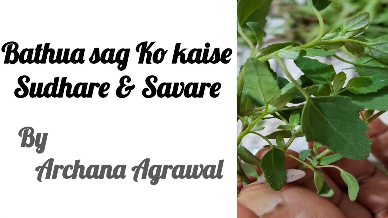 How  to use bathua sag as & when 