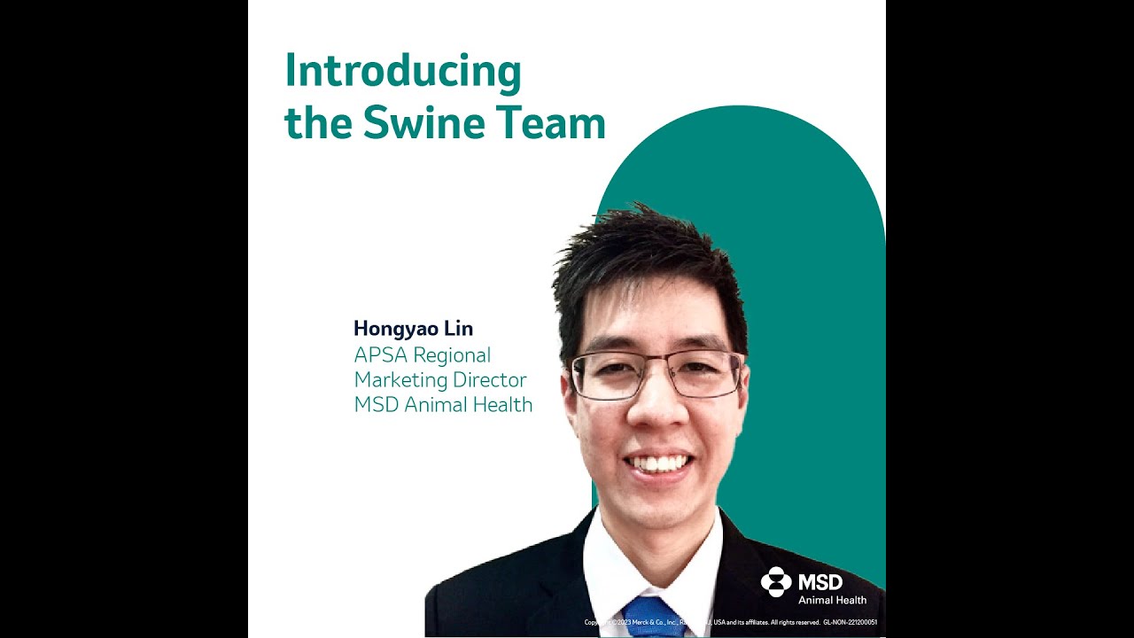 MSD Animal Health Introducing Global Swine Team: Hongyao Lin