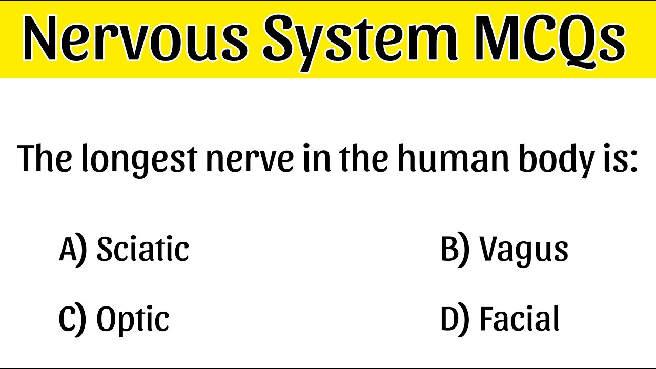 Nervous System MCQs | Nervous System Quiz | Nervous System Important MCQs