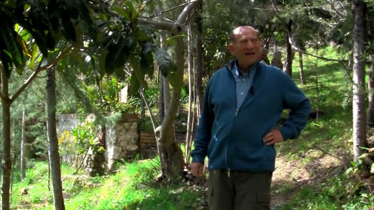 Il corniolo