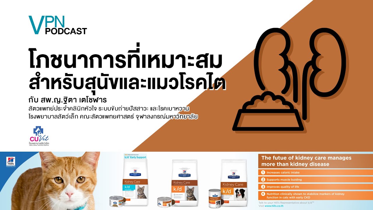 VPN Podcast EP.9 - โภชนาการที่เหมาะสมสำหรับสุนัขและแมวโรคไต