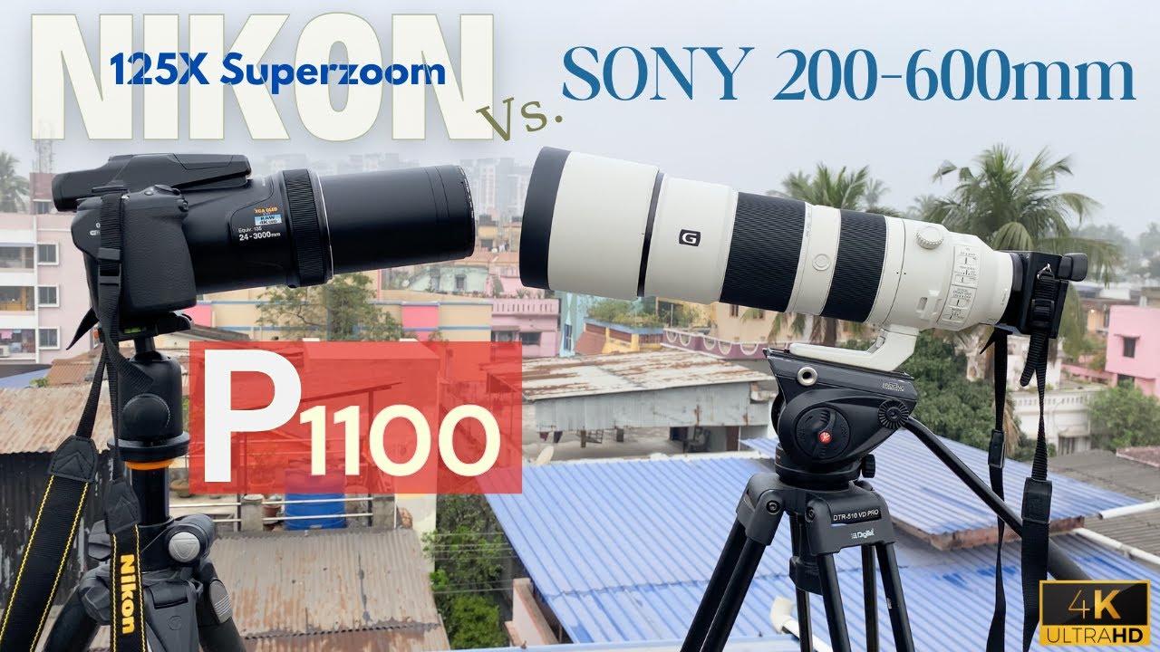 [Don't Buy Until You WATCH This!] - Nikon P1100 Vs. Sony 200-600mm | Distance, Bird, Moon & Jupiter