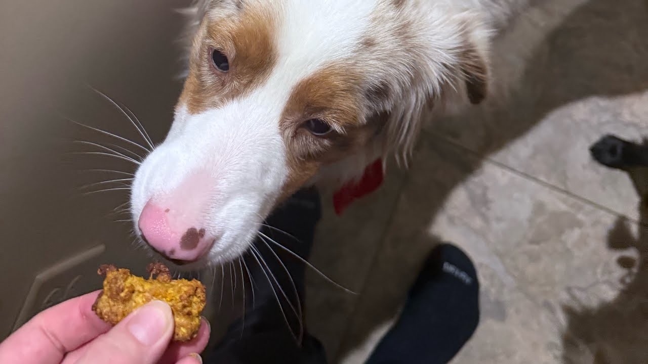 Making dog treats for Remi 