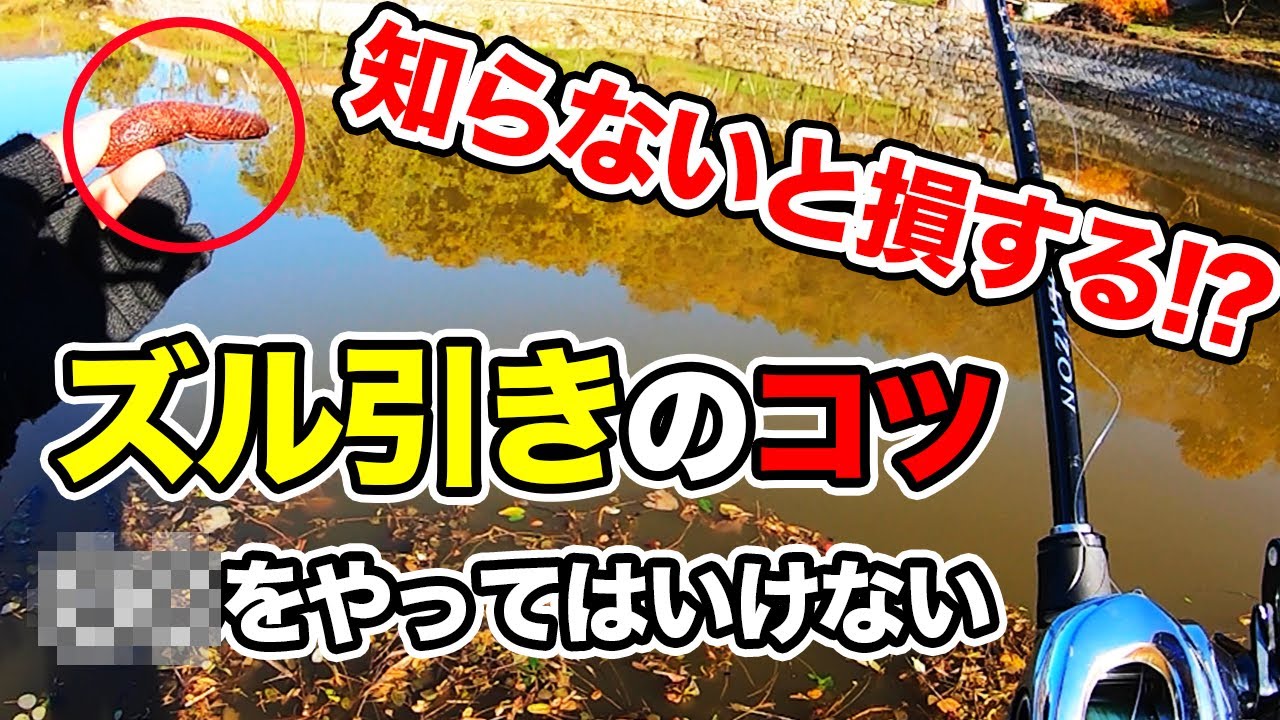 【バス釣り】ズル引きのやり方!!集中力を上げるアクションのコツや考え方t釣れない理由にについて解説してみた【カバースキャット】【カットスイング】