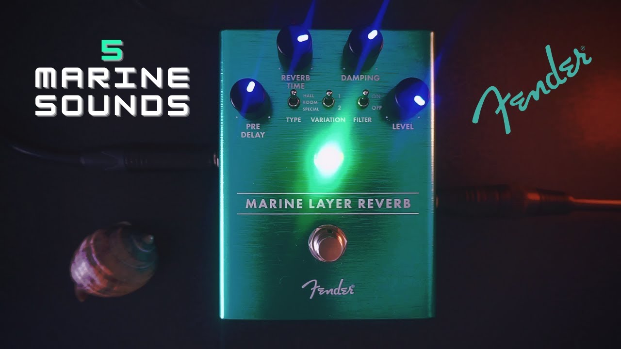 5 Marine Sounds // FENDER MARINE LAYER REVERB