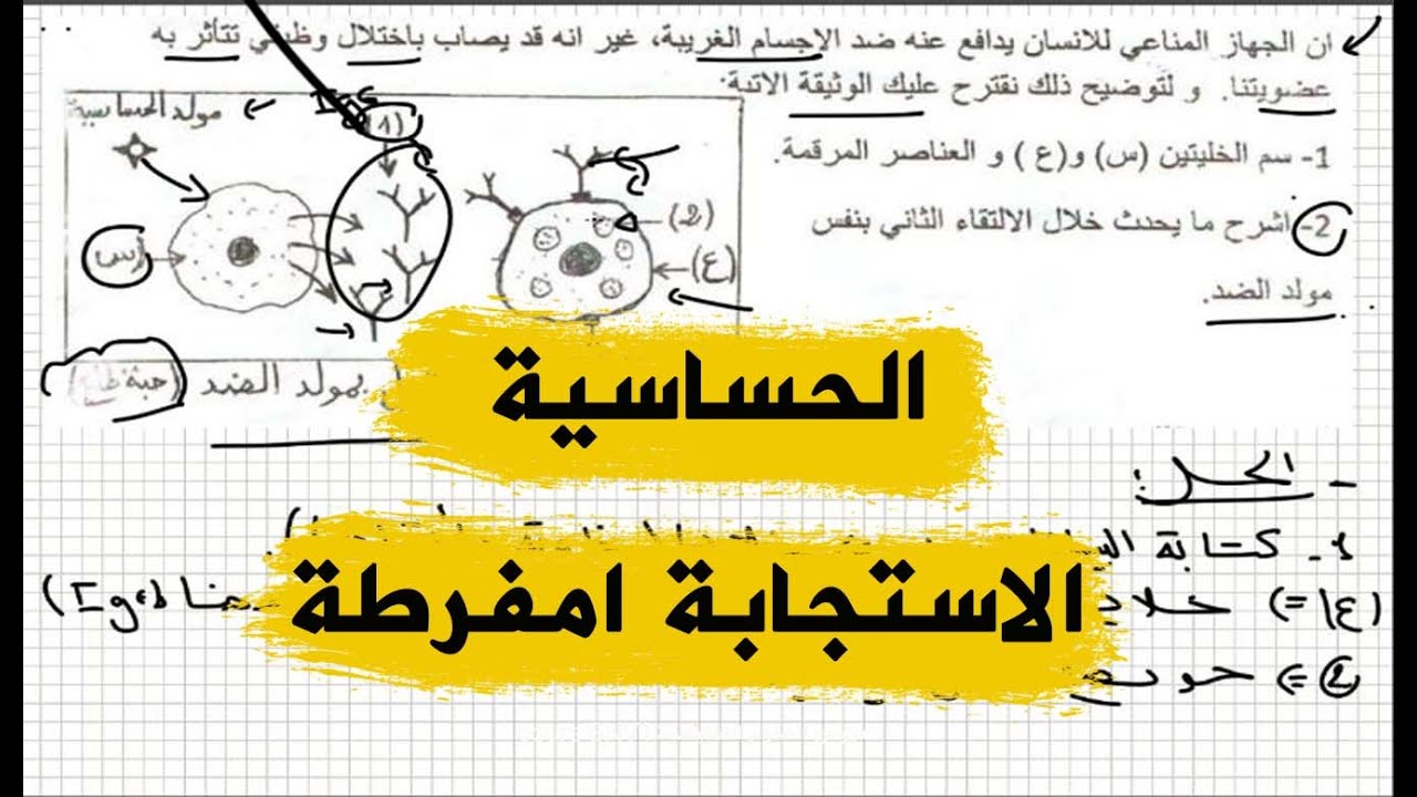 تعرف على الحساسية في تمرين شامل علوم طبيعية للسنة الرابعة متوسط