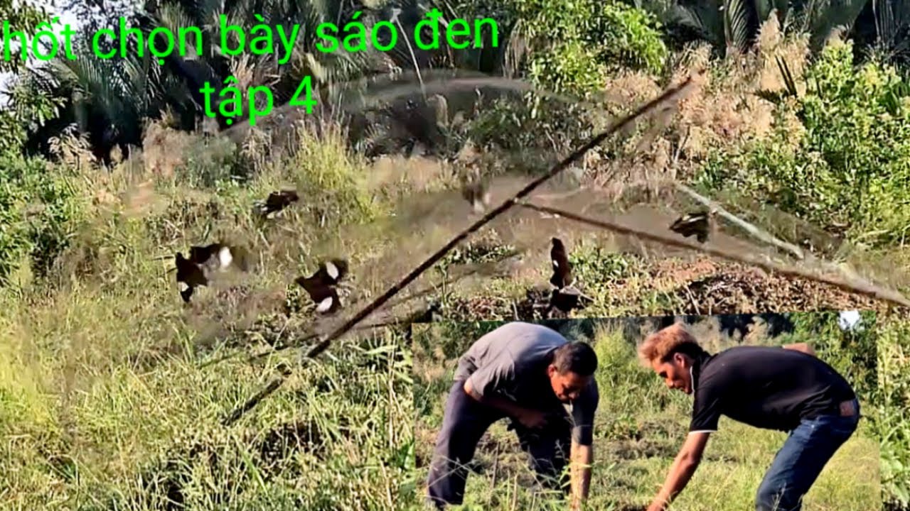 Lưới mới hốt chọn bày sáo đen tập 4