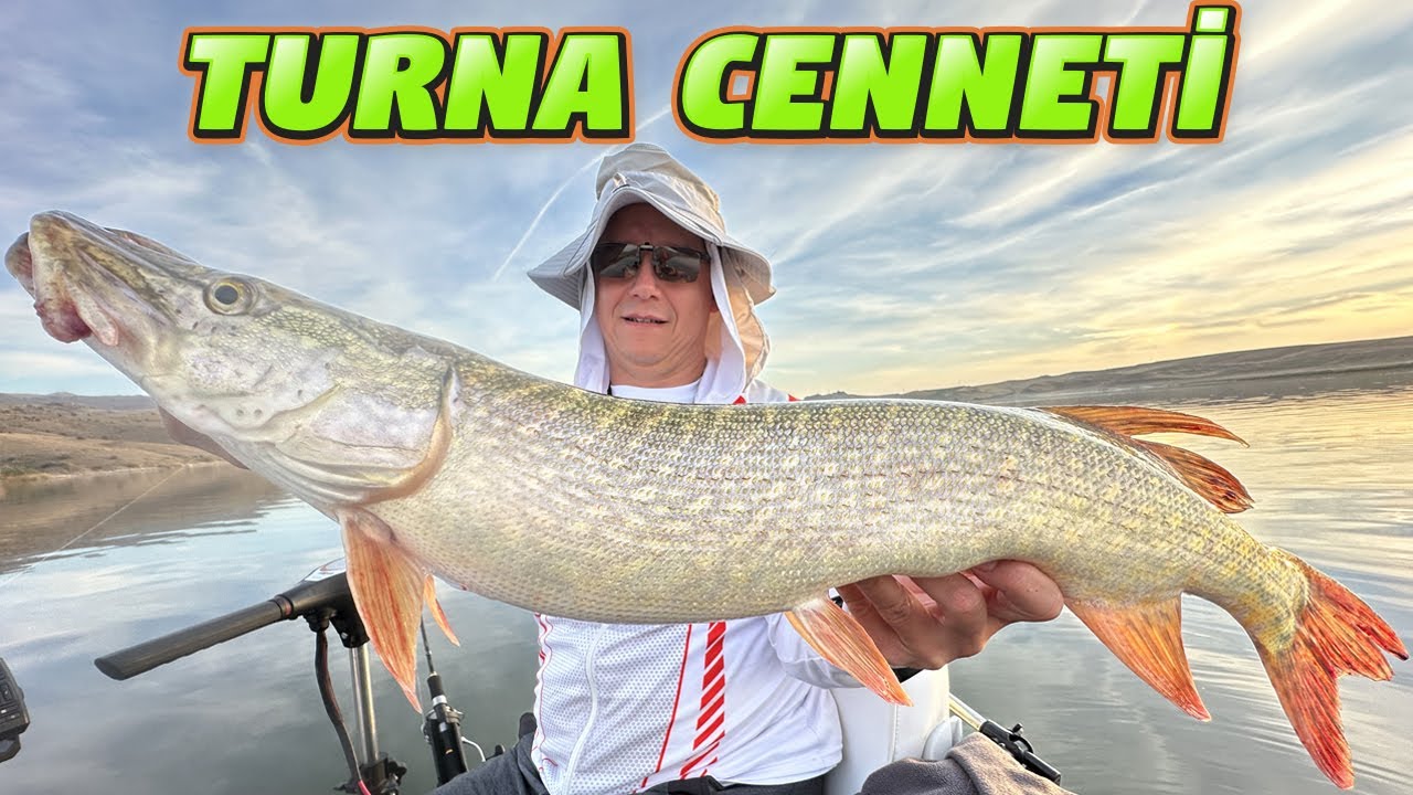 Engin Derinleri Taktı Son Atışta Jessica yı Kaptı.Turna Balık Avı.Balıklar Çıldırmış…