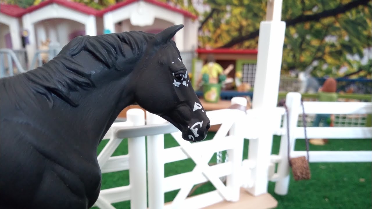 [Colis mpv] J'achète des Breyer pour la première fois !
