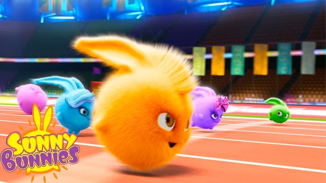 SUNNY BUNNIES - LA CORSA OLIMPICA! | COMPILATION DELLA STAGIONE 1 | Cartoni animati per bambini