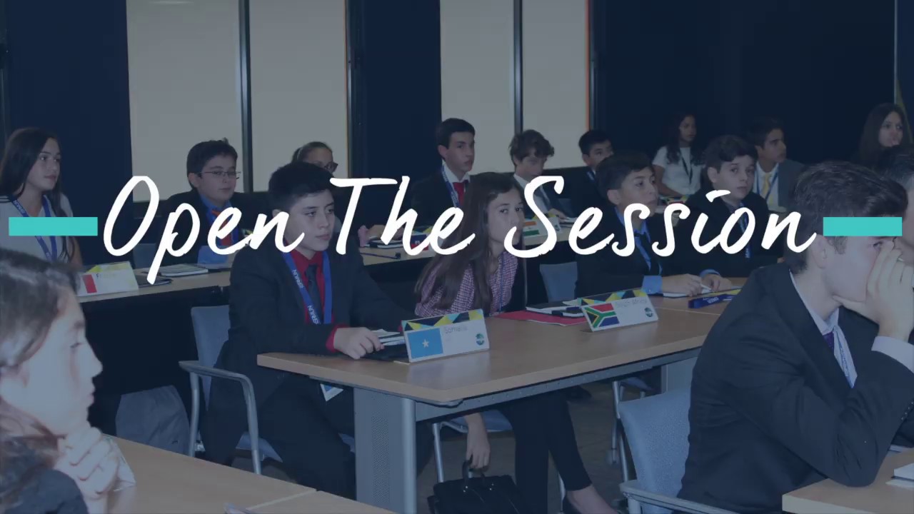 ISRMUN | Crisis Committee Protocol