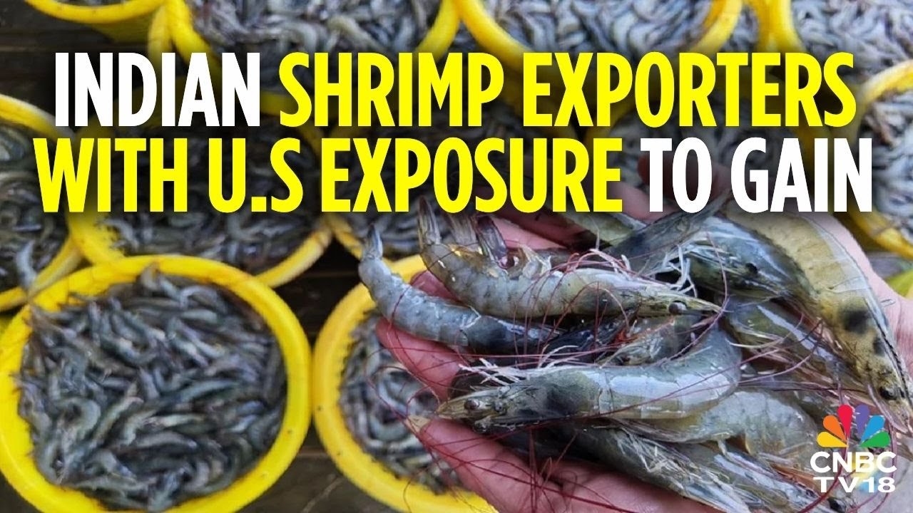 US-India Reach Trade Deal: Indian Shrimp Exporters To Regain Significant Portion Of Competitiveness