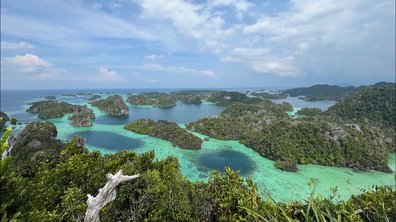 Raja Ampat on the Ambai, Jan 2026