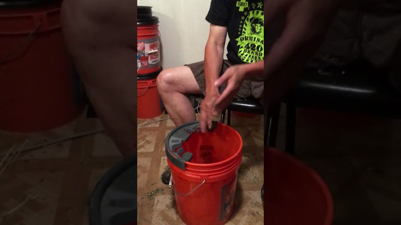Original420Brand&trade; - Introducing the Debudder Bucket Lid&trade;