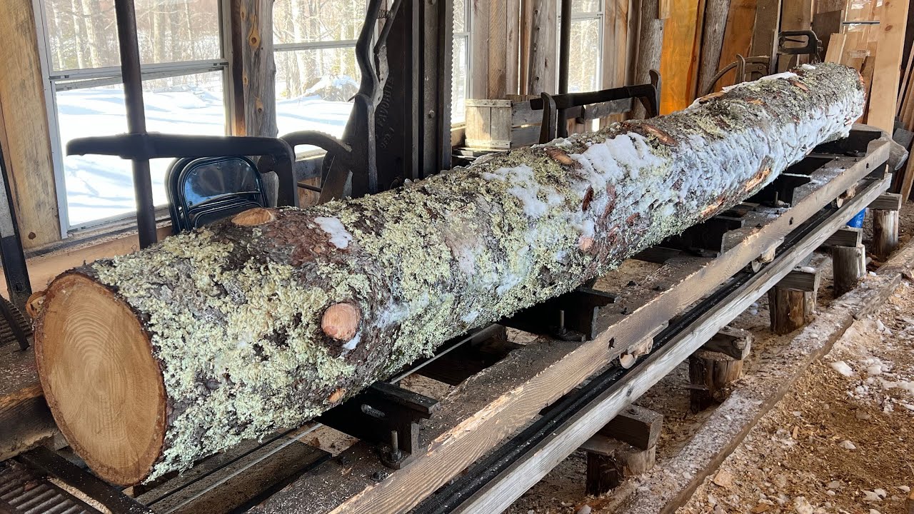 Three Pine for Ernie 