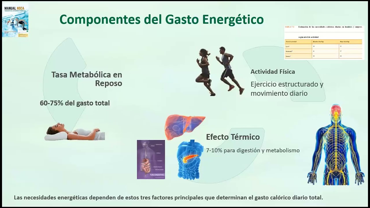 Análisis Nutricional y Energía en el Deporte