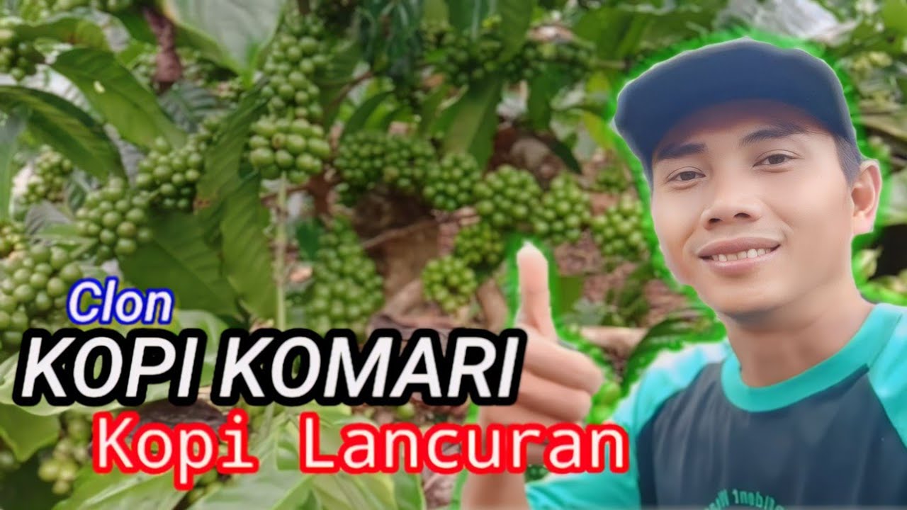 SPIL KOPI KOMARI KOPI LANCURAN