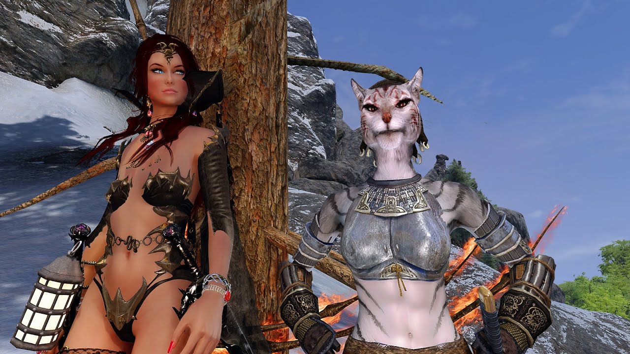 Skyrim/Nolvus -