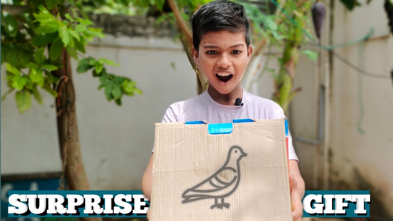 புதிய Fancy Pigeon 🕊️ GUESS பண்ணுங்க 😍 |தமிழ் | @blueloft.
