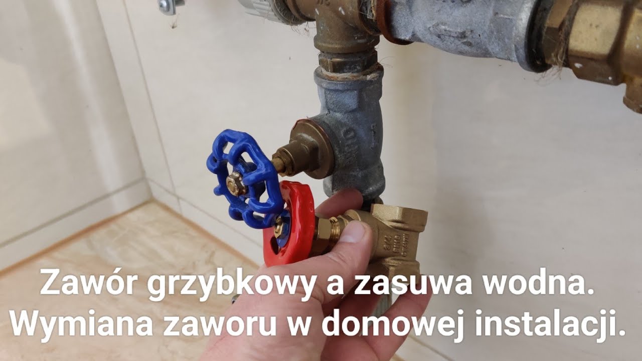 Zaw&oacute;r grzybkowy a zasuwa wodna. Wymiana zaworu w domowej instalacji.