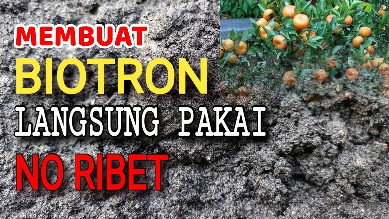 LANGSUNG PAKAI TANPA RIBET HASIL LUAR BIASA || MEMBUAT BIOTRON LANGSUNG PAKAI #biotron