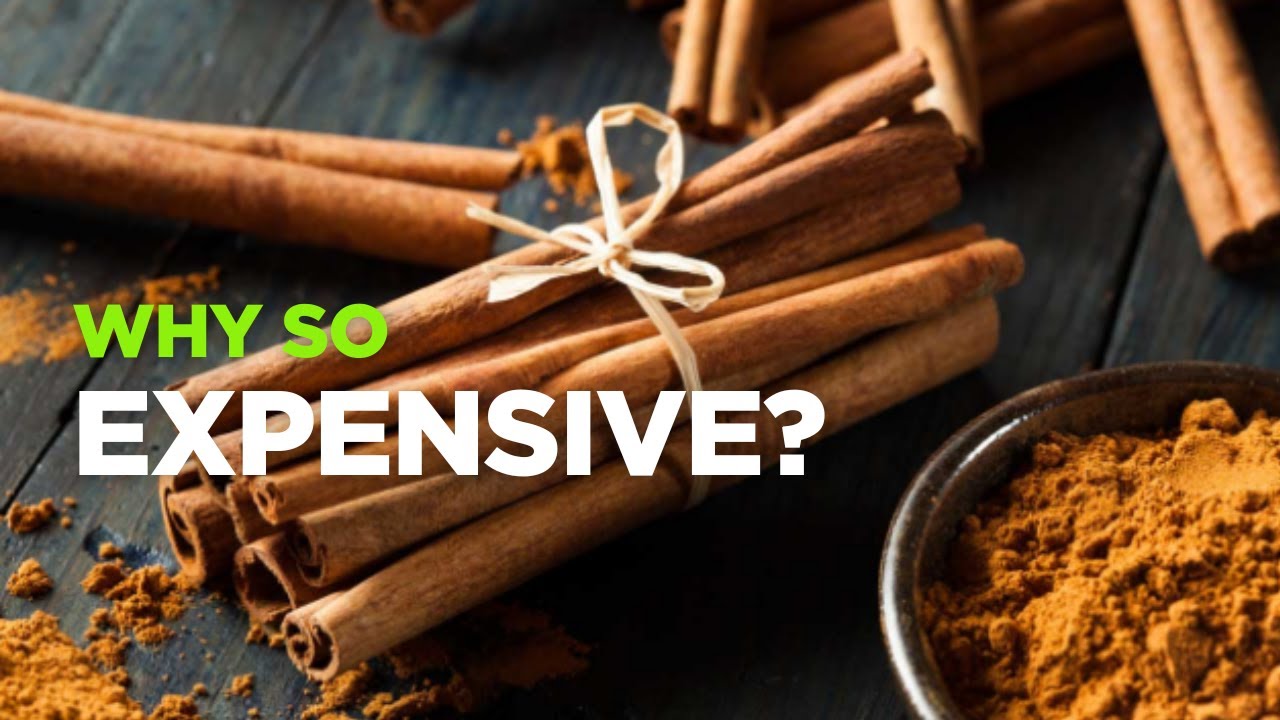 Why is Cinnamon So Expensive? Truth About Real and Fake Cinnamon!