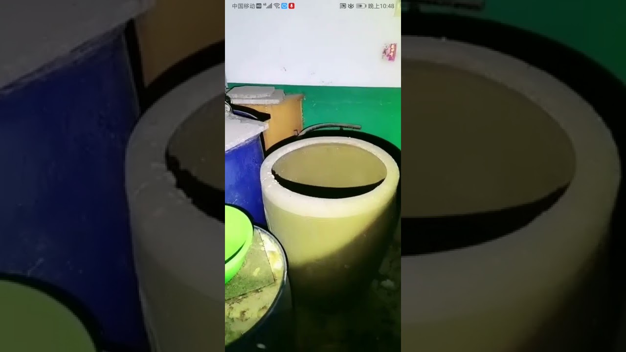 小龍探險的粉絲來鬧場，賀哥怒砸鬼樓，原本是場幽默又恐怖的電影，給他們搞黃了He Ge angrily smashed the ghost building