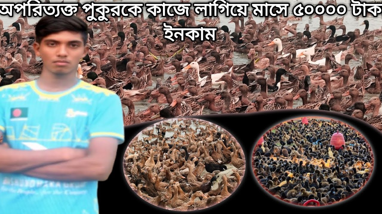 অপরিত্যক্ত পুকুরকে কাজে লাগিয়ে কাজে মাসে ৫০ হাজার টাকা ইনকাম। ঝরনা হাঁসের খামার এন্ড 