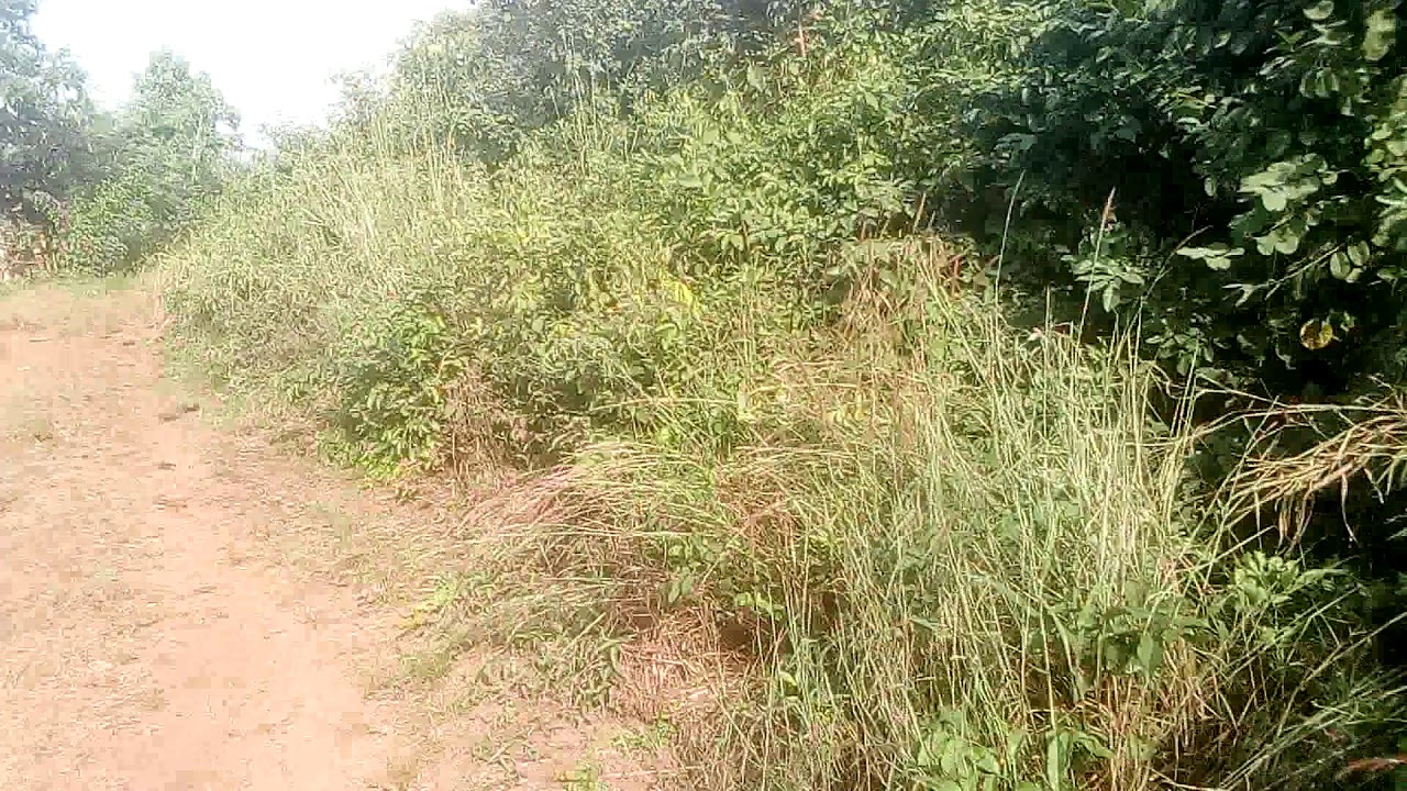 Itori Ewekoro TEMFAT Estates