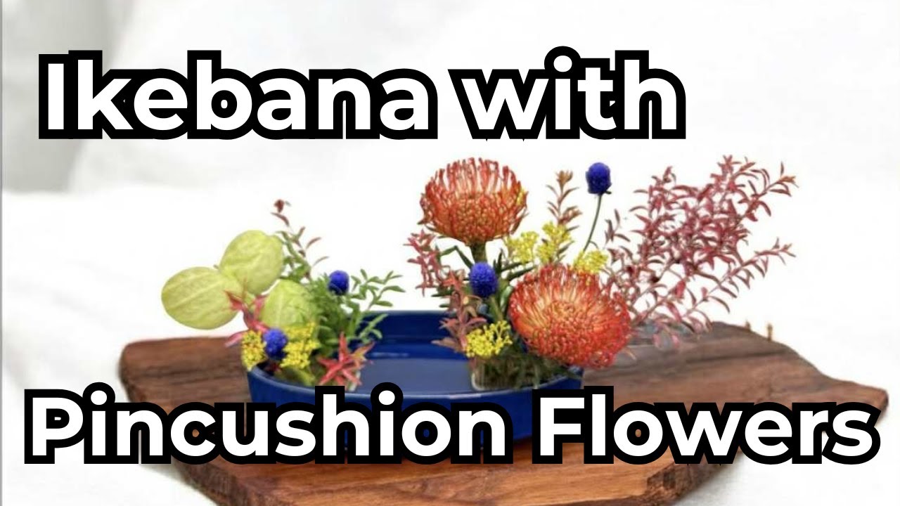 Ikebana with Pincushion Flowers | Colorful Autumn Arrangement with Kenzan