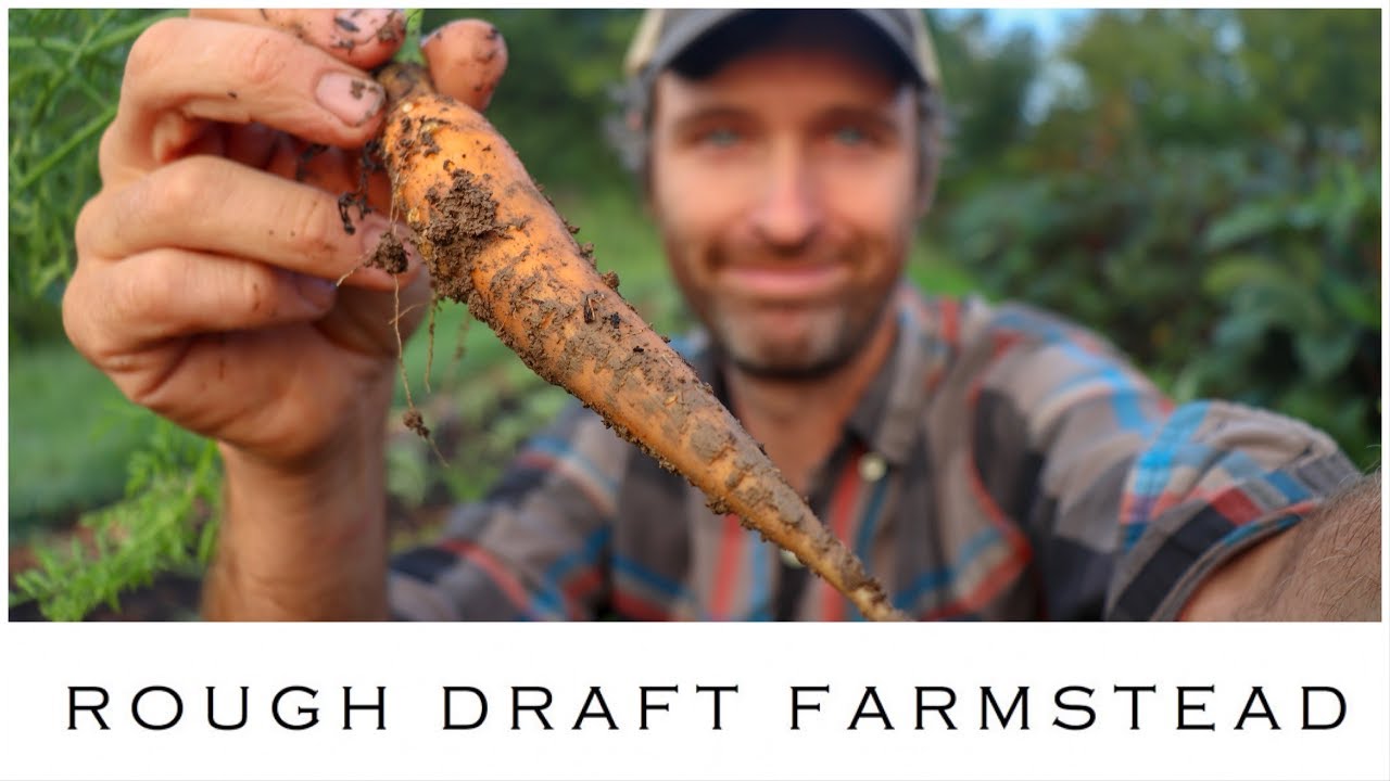 No-Till Carrots (Our Greatest Challenge Yet)