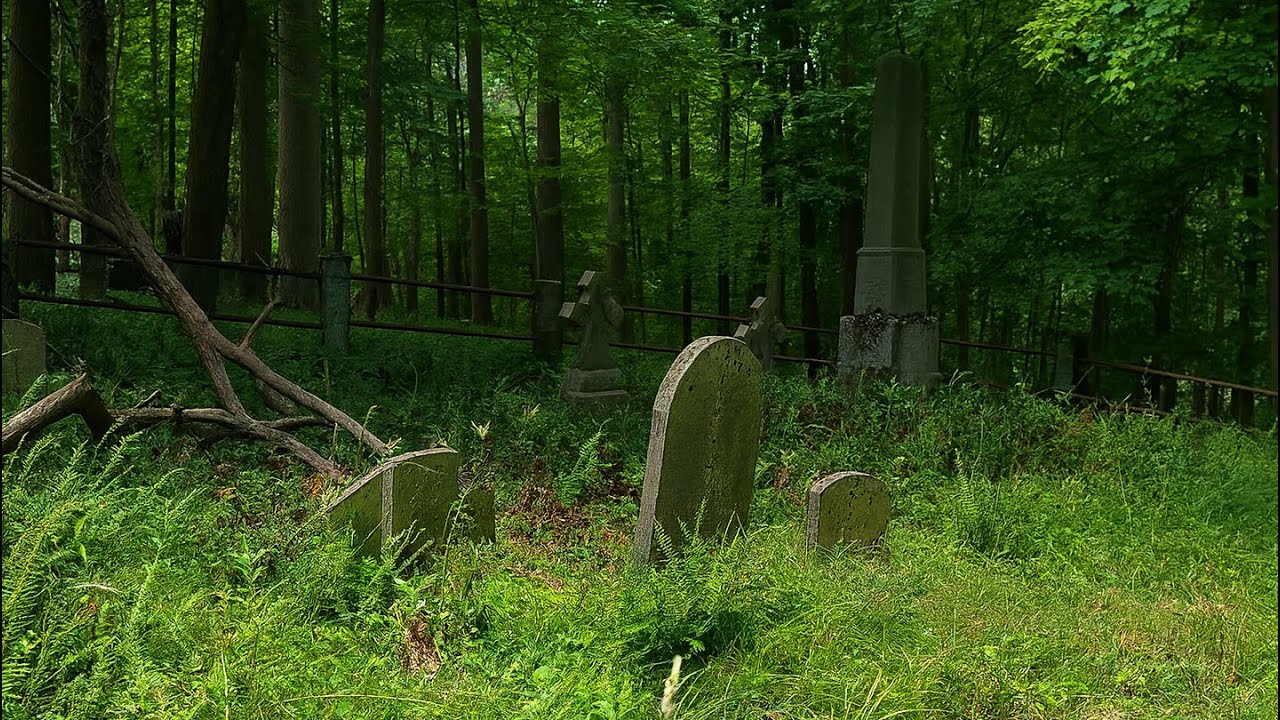 Does This Forgotten Cemetery Have a Prominent Family Lost to Time?