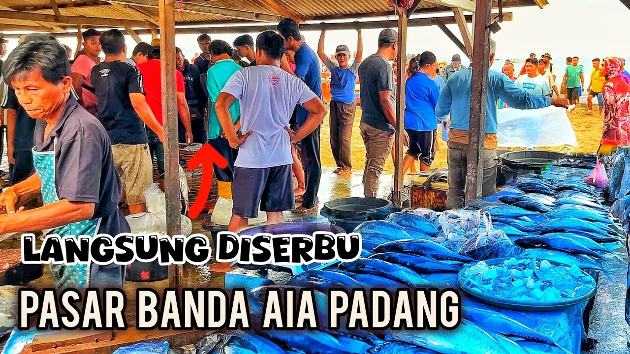 Banyak Yang Belum Tau, Ini Tempat Belanja Ikan TERMURAH di Kota Padang!!