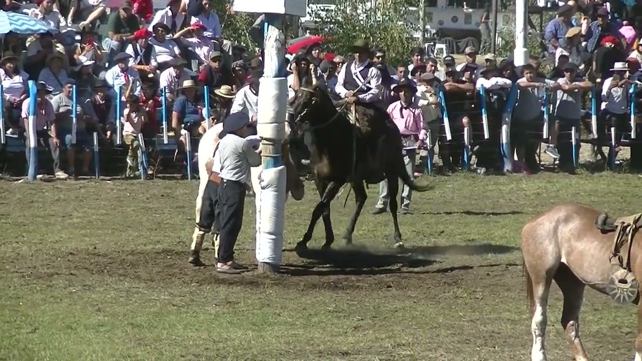 Radio FM Cuasar - Domingo 15/2 Fiesta Nacional del Puestero 6