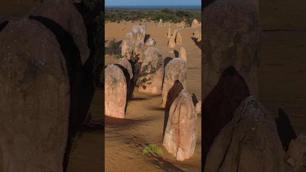 Exploring Pinnacles Desert: 4K Drone Nature Videography | The Nature Project #shorts #drone #travel